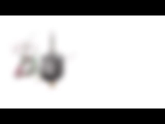 Motor de pasos híbrido bipolar del diámetro de la nema 8 20m m