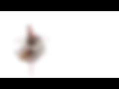 fase de 10m m Mini Permanent Magnet Stepper Motor 5v 2 18 grados